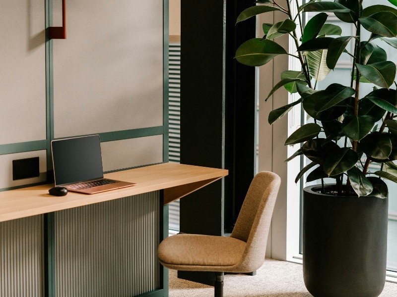 Laboratorio de genética